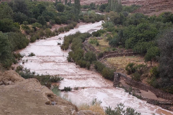 الأغواط: إنقاذ أكثر 20 شخصا من الفيضانات