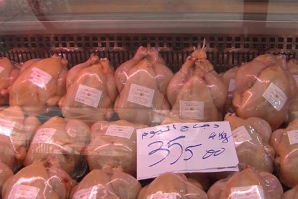 عنابة: المضاربة تلهب أسعار اللحوم البيضاء