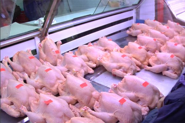 Hausse des prix de la viande blanche : Les éleveurs s’expliquent