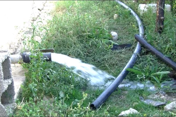 باتنة: نقص المخازن وانخفاض منسوب مياه السقي يهددان منتوج التفاح بقرية “مريال”