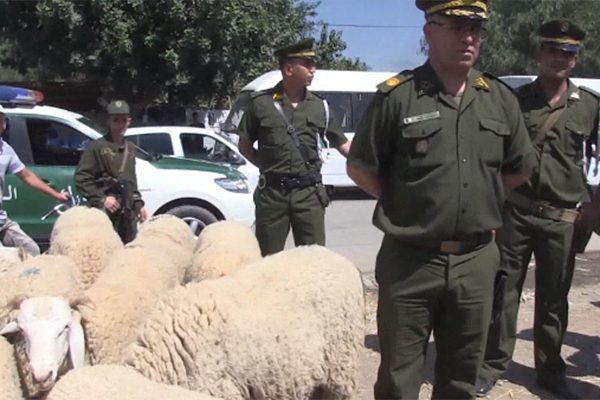 Aid el Adha : Renforcement sécuritaire des marché de ventes de moutons