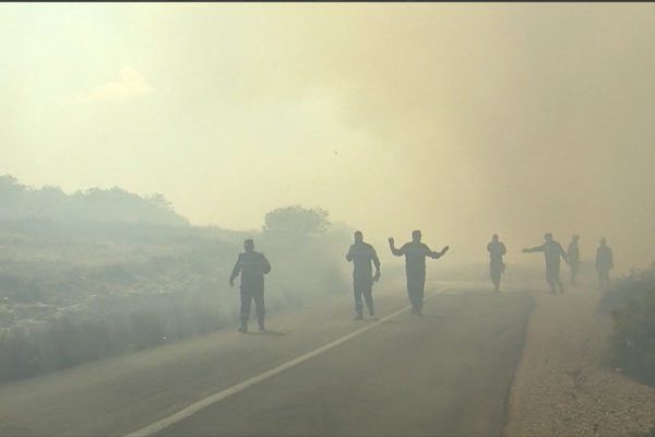 وفاة رئيس مصلحة حماية الغابات في حريق أتى على أكبر غابة في وهران