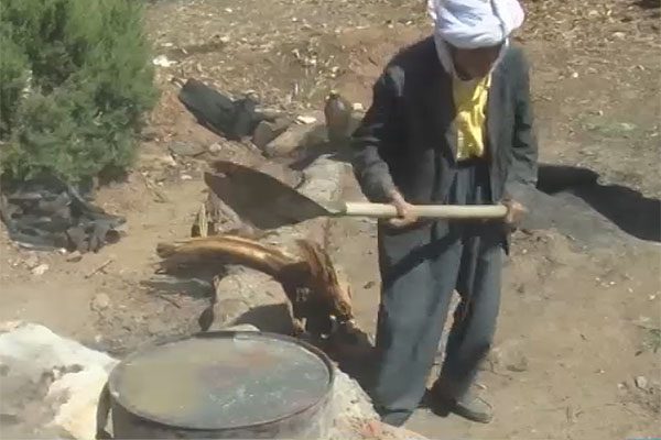 الجلفة: عمي نميرة.. ستة عقود في تحويل الخشب إلى قطران