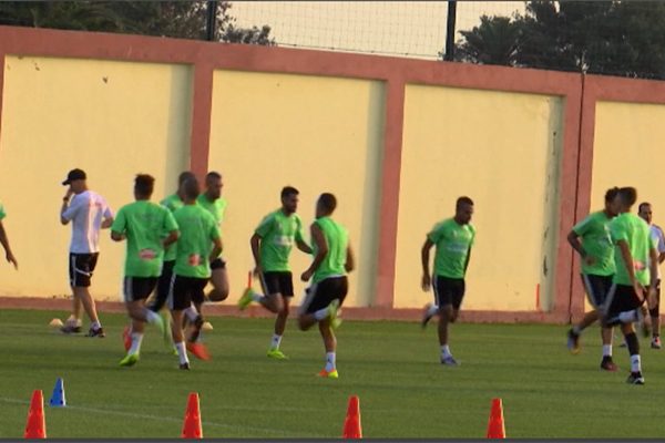 Football : la liste des Verts pour le match contre le cameroun dévoilée