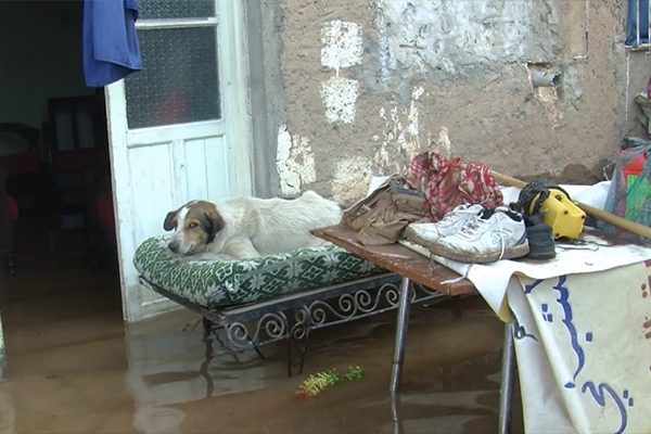 inondation à Laghouat: 5 Milliards de dinars de pertes