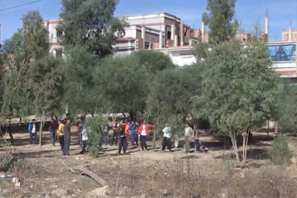 ولاية أم البواقي: استفادات مشبوهة واقتلاع أشجار معمرة بحديقة عمومية ببلدية عين مليلة