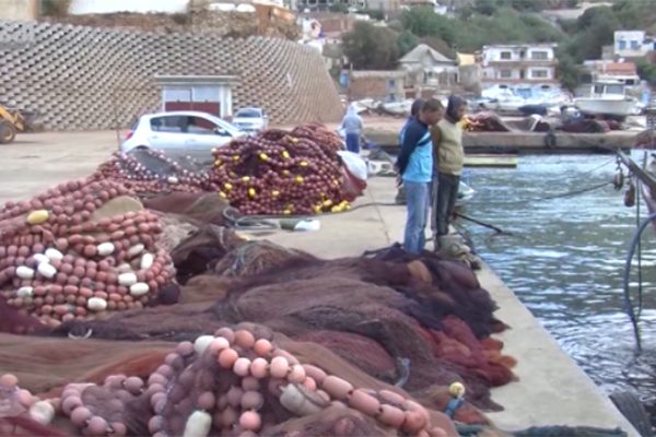 مئات الصيادين والحرفيين بميناء “كريشتل” ينشطون بطريقة عشوائية