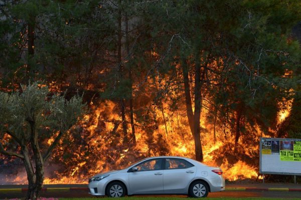 A car drives past burning trees as a wildfire rages in the northern city of Haifa, Israel