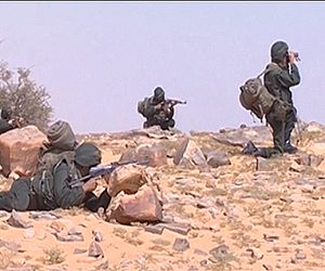 الجيش يقضي على مجموعة إرهابية تابعة للقاعدة قرب حدود مالي