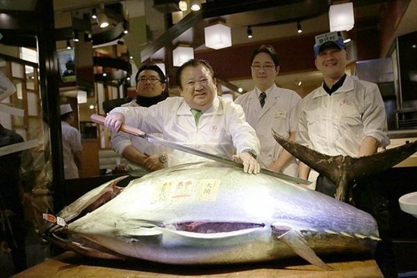 بيع سمكة تونة بأكثر من 600 ألف دولار في اليابان!
